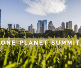 One Planet Summit, agir contre le climat