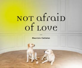 Not Afraid of Love